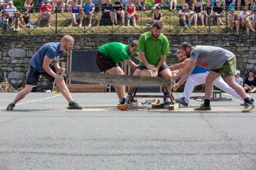 espelette force basque jpg_79